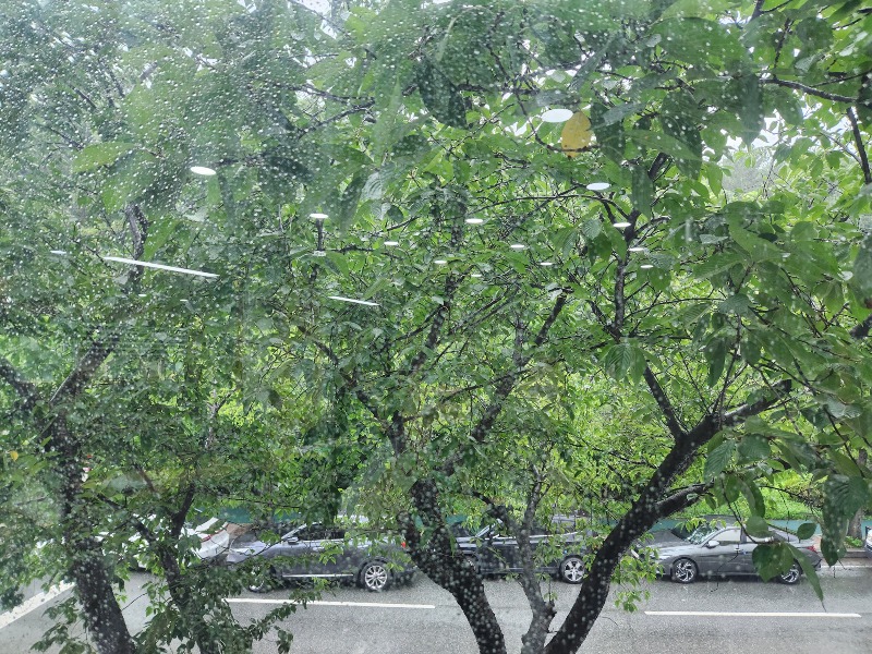 08105창밖풍경.jpg